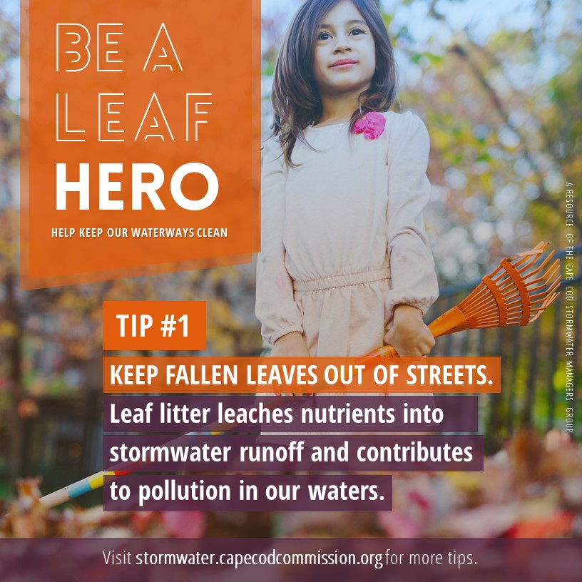 Be a Leaf Hero - Tip #1