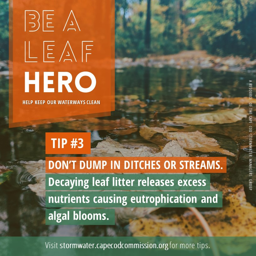 Be a Leaf Hero - Tip #3