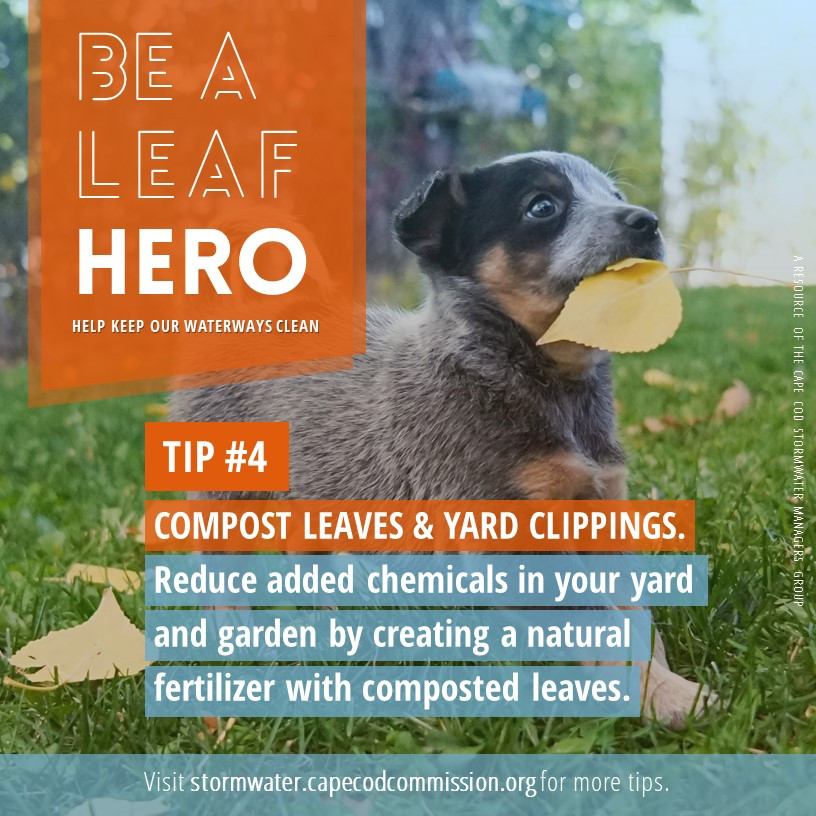 Be a Leaf Hero - Tip #4