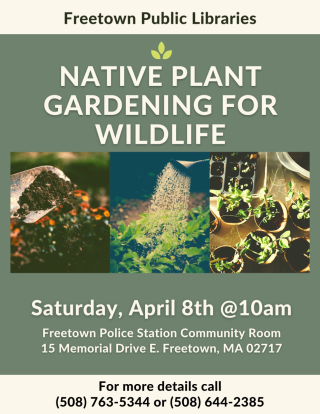 Native Plant Gardening for Wildlife