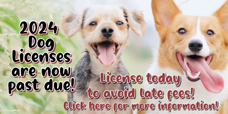 2024 Dog Licenses Now Past Due